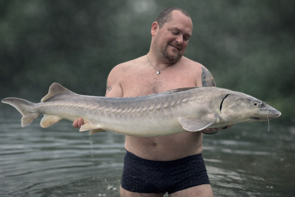 homme et esturgeon dans l'eau tranquille homme et esturgeon dans l'eau tranquille