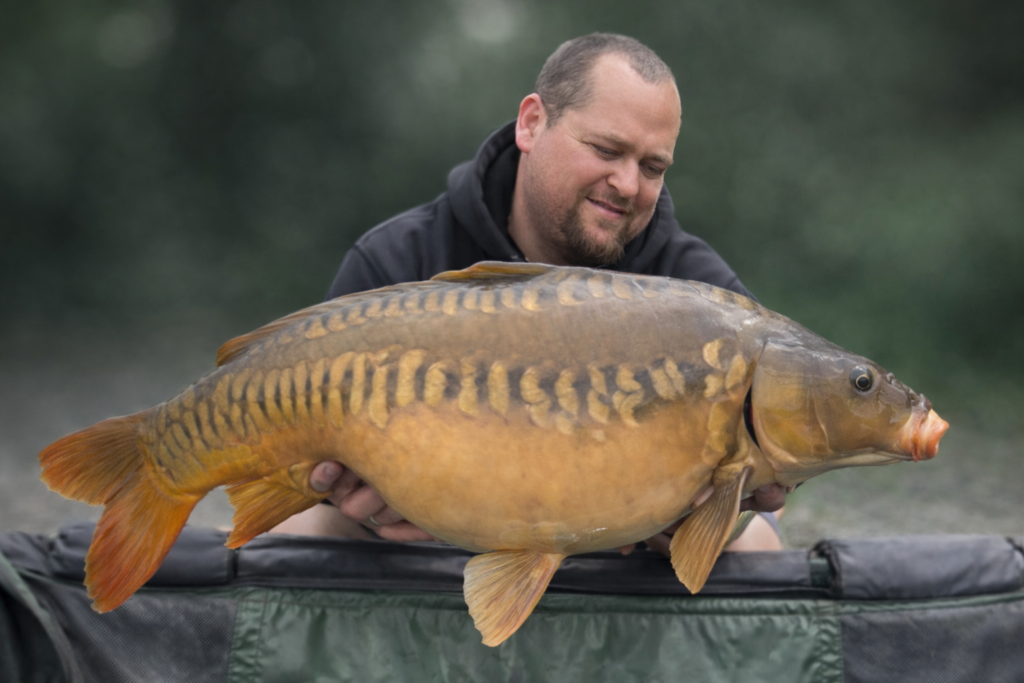 Carpe en Batterie- Etang 2 - 72h homme fièrement avec une carpe miroir