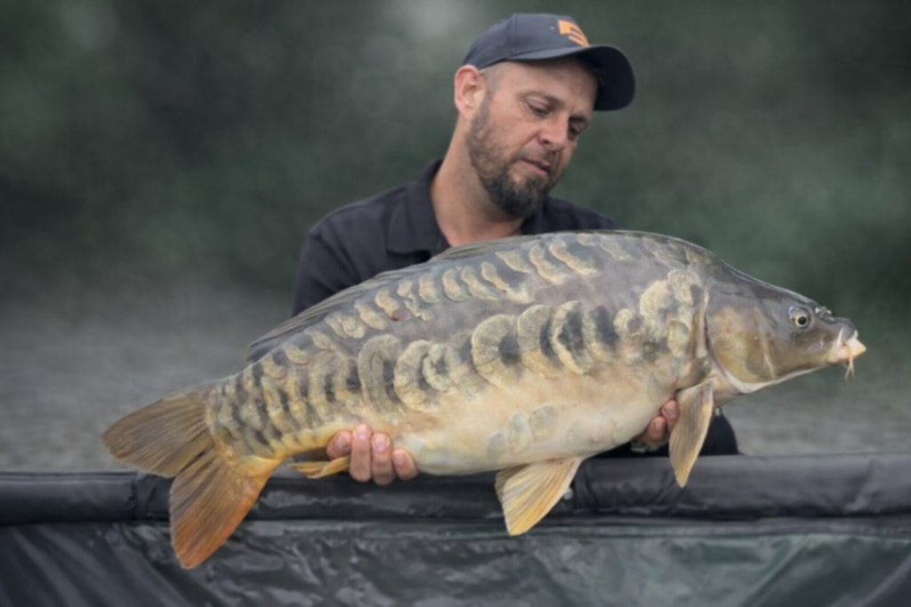 pêcheur et carpe miroir en admiration