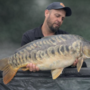 pêcheur et carpe miroir en admiration