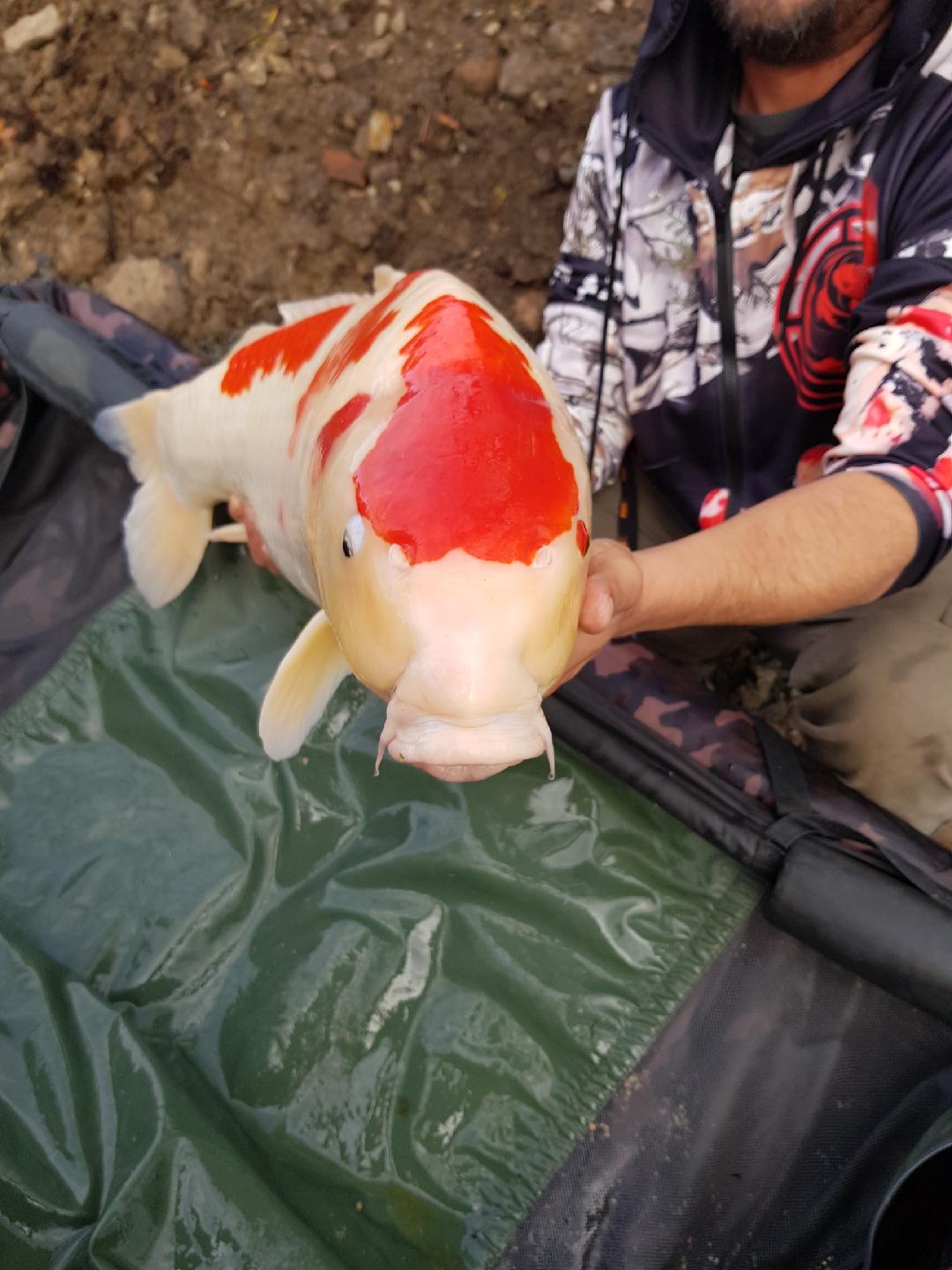 resized 20251116 100416 5948